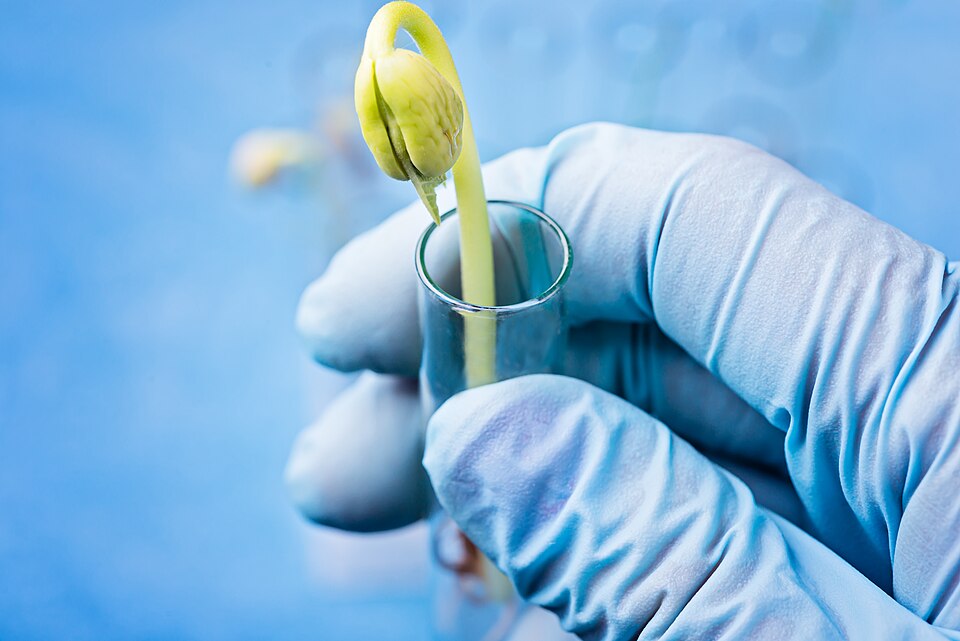 Biotechnology laboratory